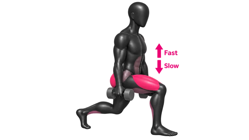Split squat with dumbbells, front leg loaded