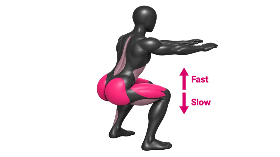 Squat with thighs and glutes highlighted, arrow for slow down and fast up